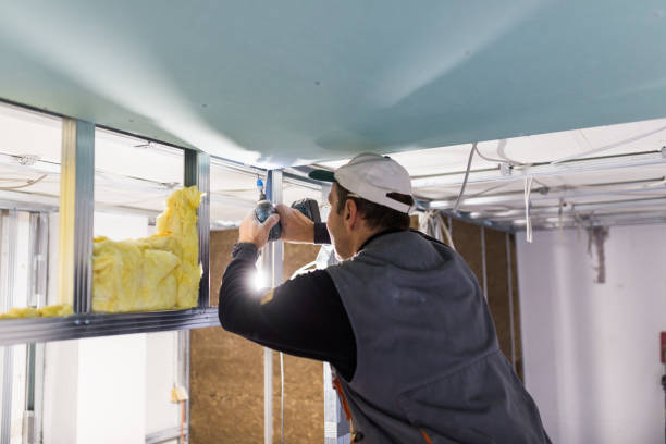 Best Residential Insulation in Idalou, TX