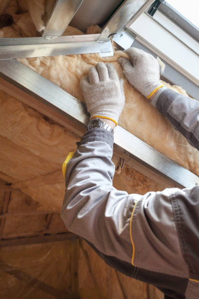 Best Specialized Insulation Services in Idalou, TX