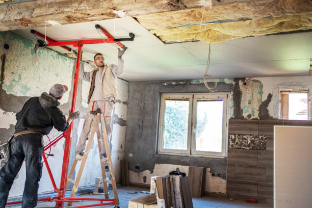 Best Commercial Insulation in Idalou, TX