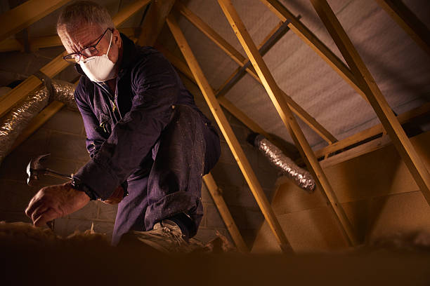 Professional Insulation Contractor in Idalou, TX